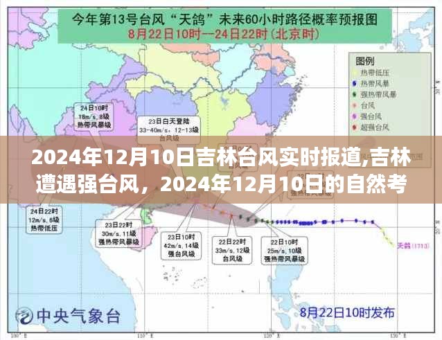 吉林遭遇罕见强台风袭击，自然考验下的反思与应对纪实（实时更新）