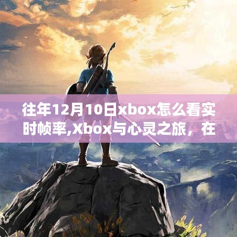 Xbox心灵之旅，探寻自然静谧中的实时帧率之美