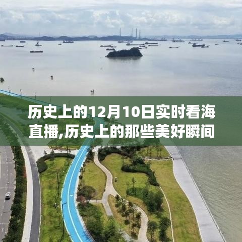 历史上的海韵直播之旅，透过屏幕感受12月10日的实时看海直播瞬间