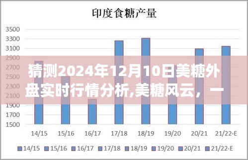 2024年12月12日 第12页