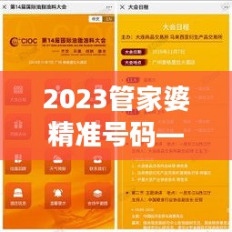 2023管家婆精准号码——数字化管理的智能选择