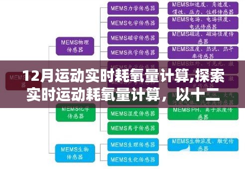 实时运动耗氧量计算探索，以十二月运动为例的探讨