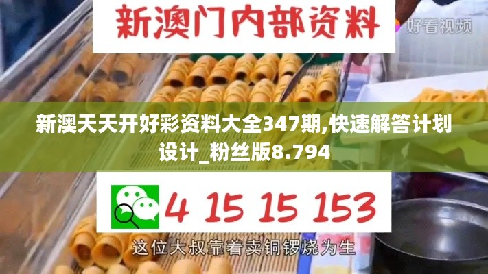 新澳天天开好彩资料大全347期,快速解答计划设计_粉丝版8.794