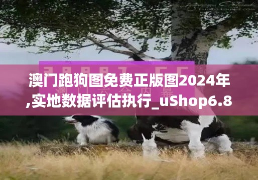 澳门跑狗图免费正版图2024年,实地数据评估执行_uShop6.807