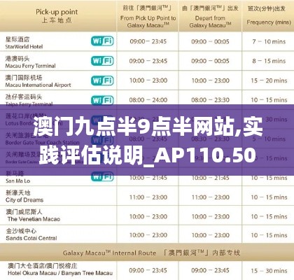 澳门九点半9点半网站,实践评估说明_AP110.502