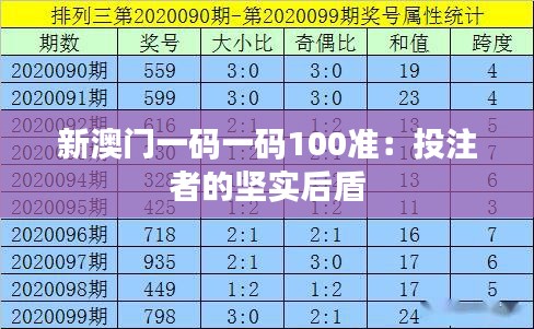 新澳门一码一码100准：投注者的坚实后盾