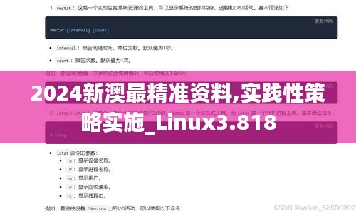 2024新澳最精准资料,实践性策略实施_Linux3.818