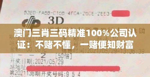 澳门三肖三码精准100%公司认证：不赌不懂，一赌便知财富梦