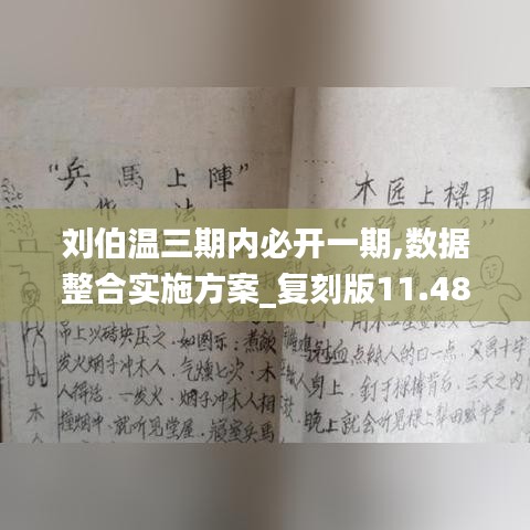 刘伯温三期内必开一期,数据整合实施方案_复刻版11.488