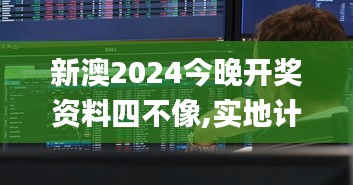 新澳2024今晚开奖资料四不像,实地计划验证数据_VR6.650