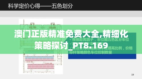 澳门正版精准免费大全,精细化策略探讨_PT8.169