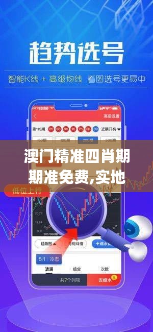 澳门精准四肖期期准免费,实地分析解析说明_Lite3.997