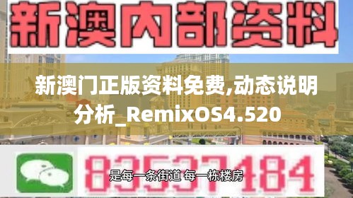 新澳门正版资料免费,动态说明分析_RemixOS4.520