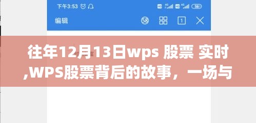 WPS股票背后的故事，与自然美景的邂逅之旅历年实时分析（往年12月13日）