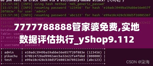 7777788888管家婆免费,实地数据评估执行_yShop9.112