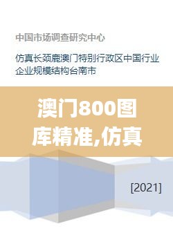 澳门800图库精准,仿真方案实现_微型版6.569