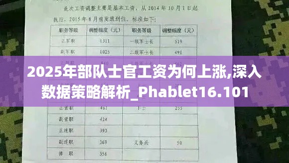 2025年部队士官工资为何上涨,深入数据策略解析_Phablet16.101