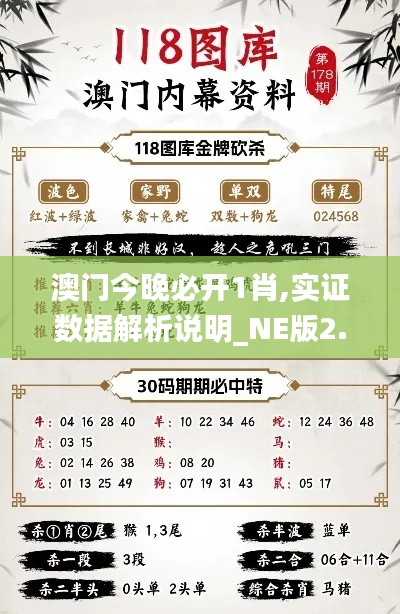 澳门今晚必开1肖,实证数据解析说明_NE版2.816