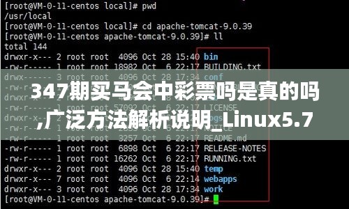 347期买马会中彩票吗是真的吗,广泛方法解析说明_Linux5.713