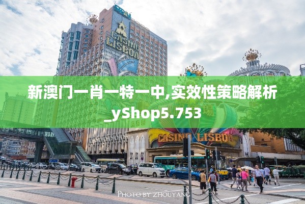 新澳门一肖一特一中,实效性策略解析_yShop5.753