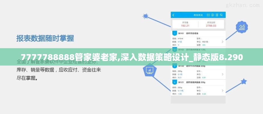 7777788888管家婆老家,深入数据策略设计_静态版8.290