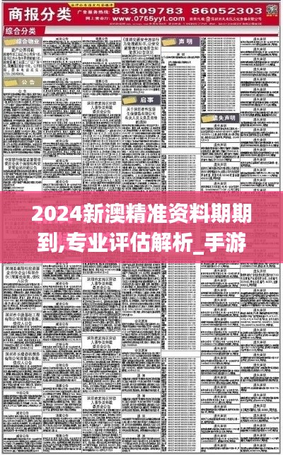 2024新澳精准资料期期到,专业评估解析_手游版2.372