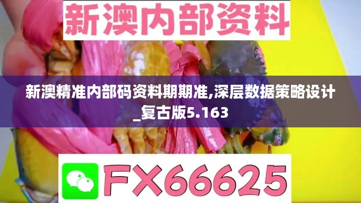 新澳精准内部码资料期期准,深层数据策略设计_复古版5.163