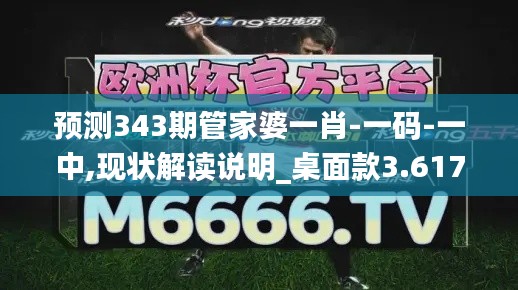 预测343期管家婆一肖-一码-一中,现状解读说明_桌面款3.617