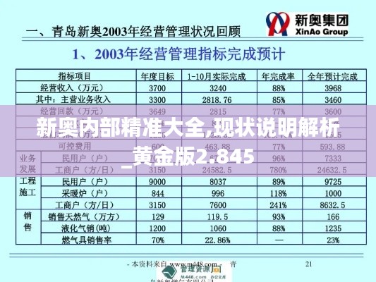 新奥内部精准大全,现状说明解析_黄金版2.845