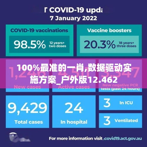 100%最准的一肖,数据驱动实施方案_户外版12.462