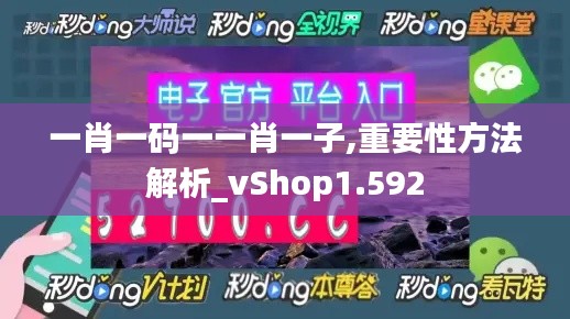 一肖一码一一肖一子,重要性方法解析_vShop1.592