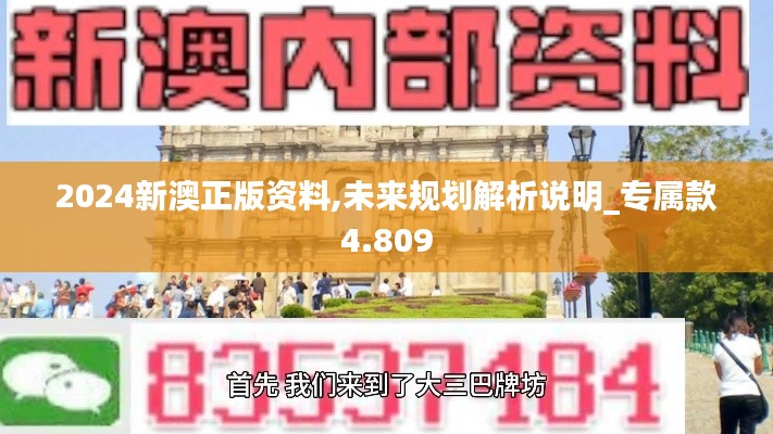 2024新澳正版资料,未来规划解析说明_专属款4.809