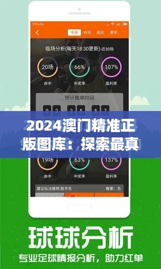 2024澳门精准正版图库：探索最真实澳门风貌