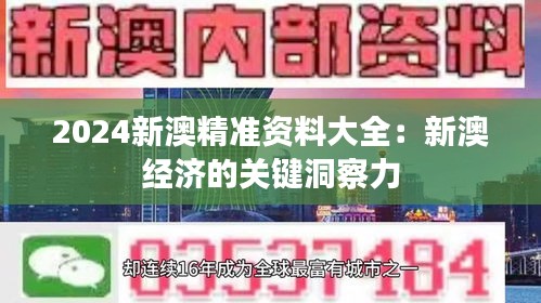 2024新澳精准资料大全：新澳经济的关键洞察力