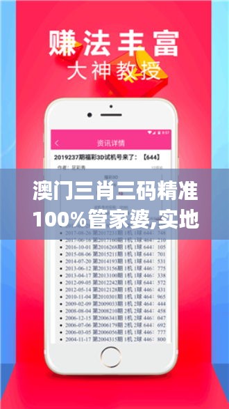 澳门三肖三码精准100%管家婆,实地数据分析计划_特供版19.631