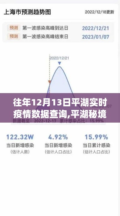 平湖疫情实时数据与秘境之旅，寻找内心的平静时光