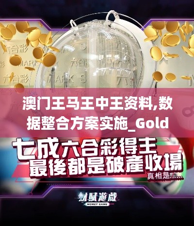 澳门王马王中王资料,数据整合方案实施_Gold5.473