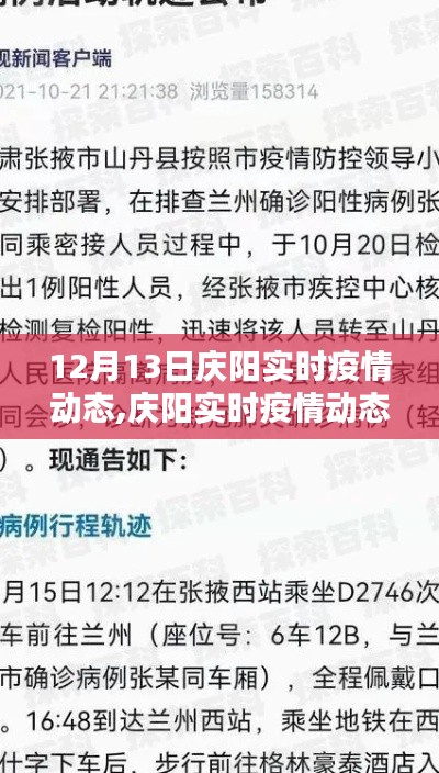 12月13日庆阳疫情动态回顾与影响，实时更新及关键信息解析