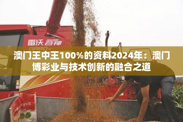 澳门王中王100%的资料2024年：澳门博彩业与技术创新的融合之道