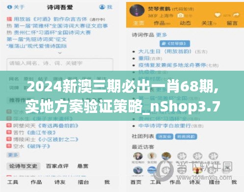 2024新澳三期必出一肖68期,实地方案验证策略_nShop3.774