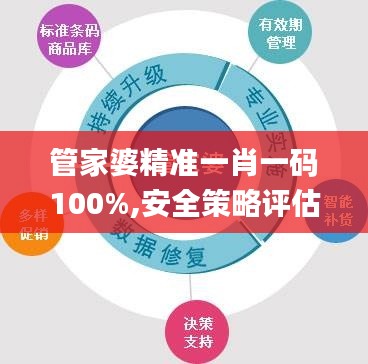 管家婆精准一肖一码100%,安全策略评估方案_AP3.295