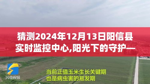 阳光下的守护，阳信县实时监控中心温馨日常记录（2024年12月13日）