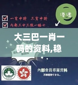 大三巴一肖一码的资料,稳定设计解析_优选版8.376