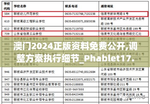 澳门2024正版资料免费公开,调整方案执行细节_Phablet17.879