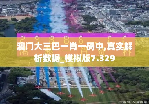 澳门大三巴一肖一码中,真实解析数据_模拟版7.329