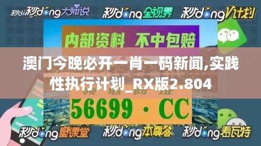 澳门今晚必开一肖一码新闻,实践性执行计划_RX版2.804