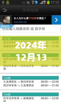 枣庄公交实时查询系统的发展与未来展望（2024年视角）