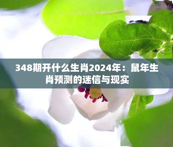 348期开什么生肖2024年：鼠年生肖预测的迷信与现实