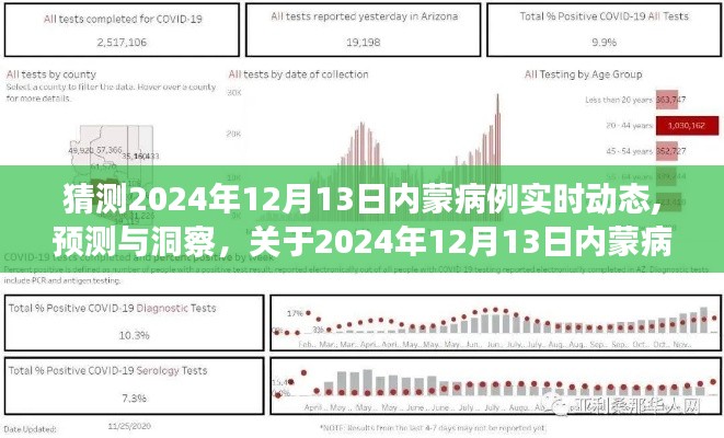 关于预测与洞察，2024年12月13日内蒙病例实时动态探讨及预测分析