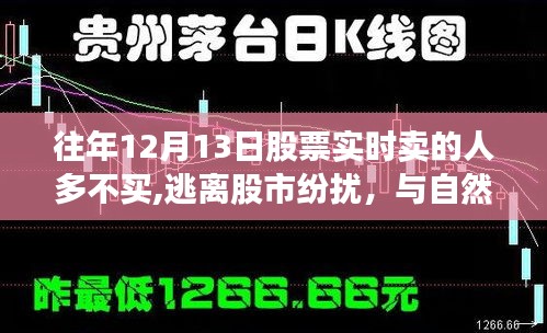 心灵启示，股市纷扰下的逃离，与自然美景共舞的心灵之旅